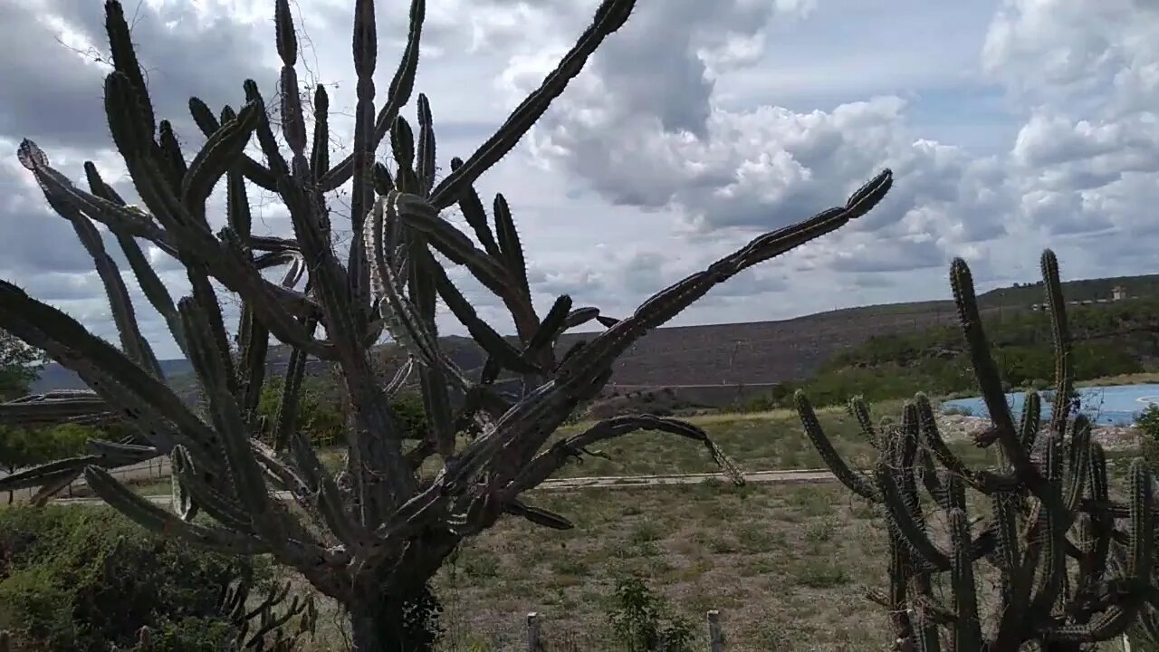 Barragem do rio São Francisco