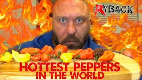 Ryback Eats Hottest Peppers In The World - Ryback Has Heat