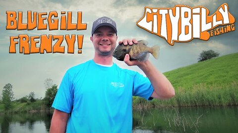 Catch Clean & Cook: Fishing For Bluegill With My Kids