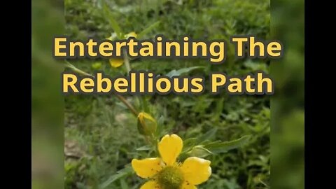 Morning Musings # 541 - Entertaining The Rebellious Path Of Soul Autonomy. Will God Be Offended?