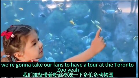 海外动物园长什么样？跟着老外和混血萌娃一起参观多伦多动物园。