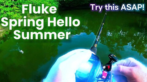Catch More Bass on Calm Sunny Days by Doing This!