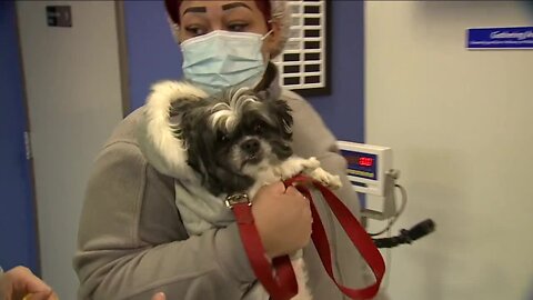 PetFix in Euclid helps pet owners while controlling pet population with low-cost spaying, neutering