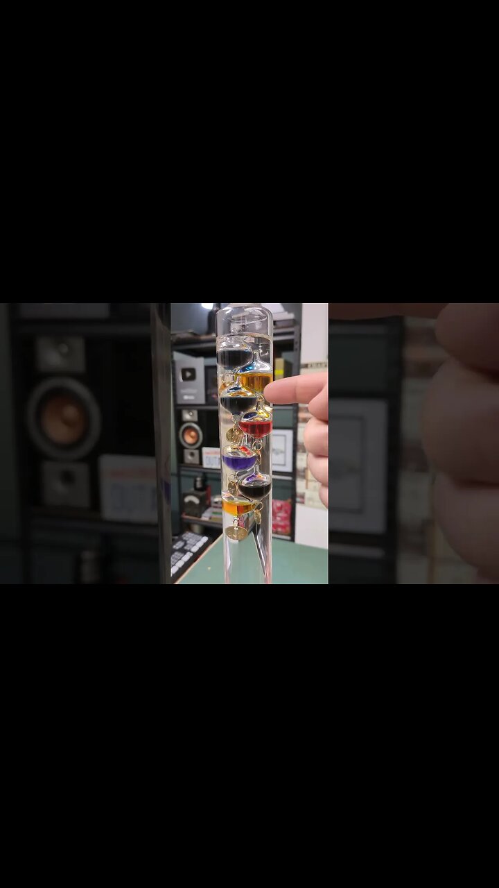 Dumpster Galileo Thermometer