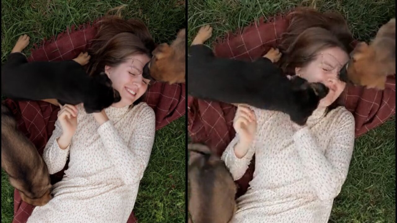 Dog and me funny,,,,,,,,