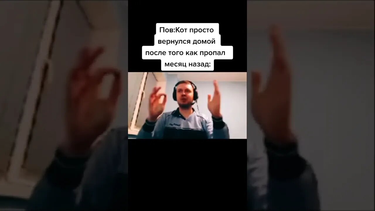 Кот вернулся домой ...
