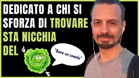 DEVI SCEGLIERE LA NICCHIA? E FOSSE ANCORA PRESTO? - La nicchia non si può trovare