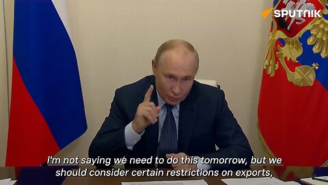 Putin suggests implementing certain restrictions of raw material exports to the West