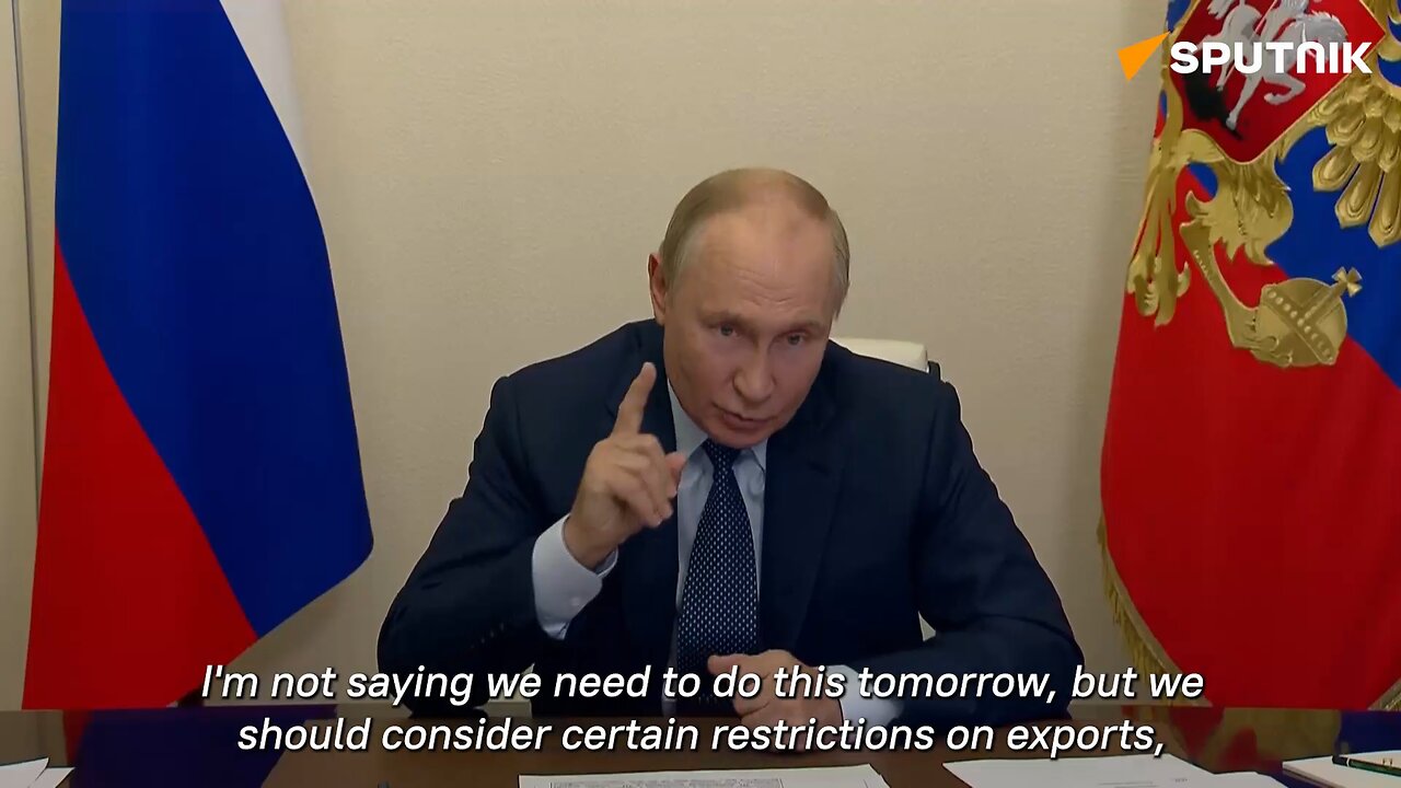 Putin suggests implementing certain restrictions of raw material exports to the West