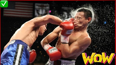 The best knockouts in boxing
