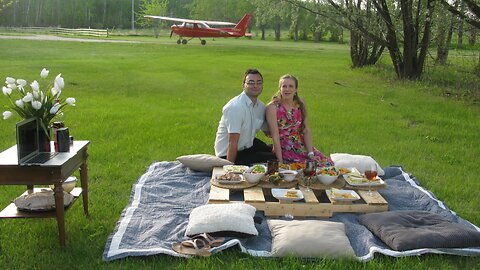 Proposal with a Plane & a Picnic