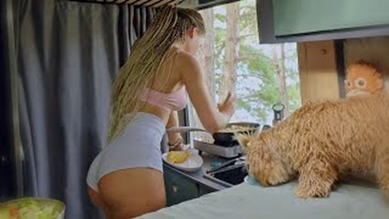 young beauty lives in a camper🚐 prepares cabbage and nuggets with her small dog🐶 vanlife