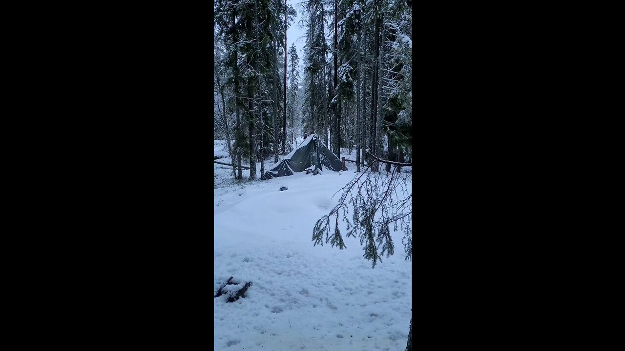 Using chaga as a firesrarter and making
