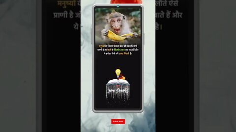 Intresting Fact about monkey #shorts #ytshorts #ias #ips #upsc #gkinhindi #gkquiz #gktoday