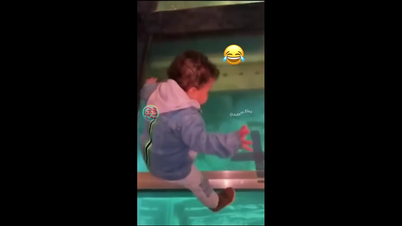 reaction of babies walk on glass bridge