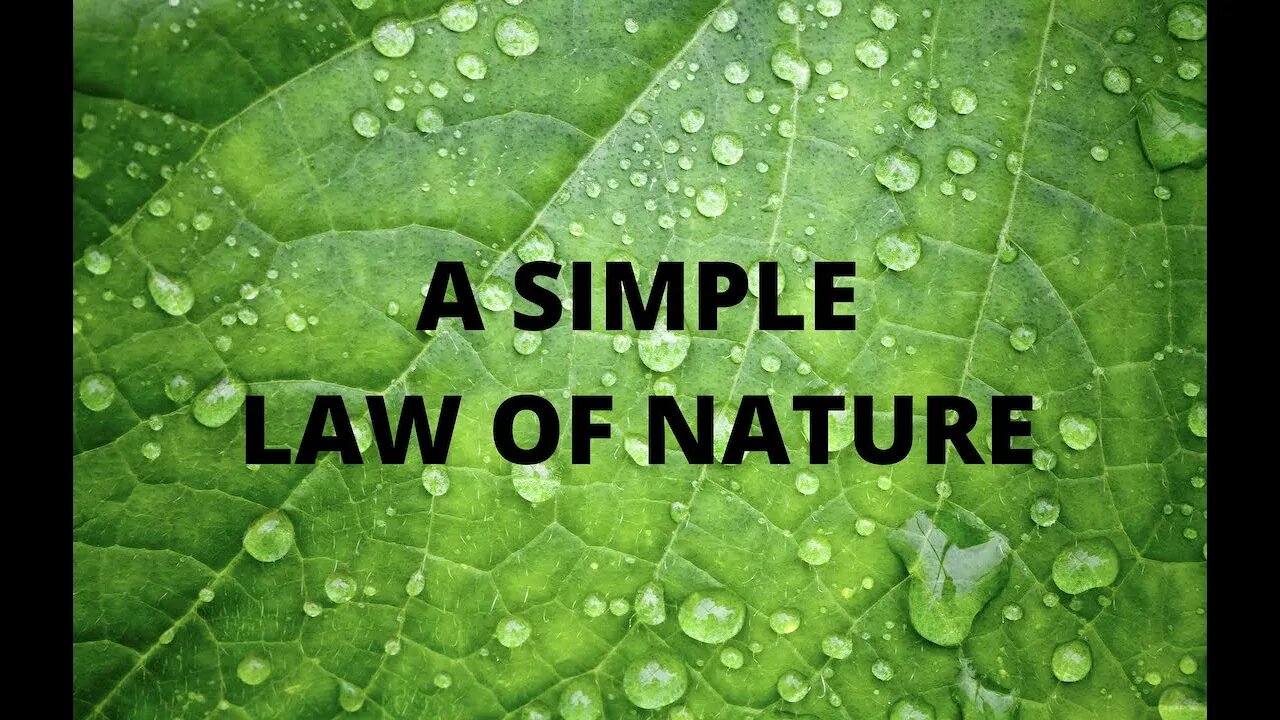 A Simple Law of Nature