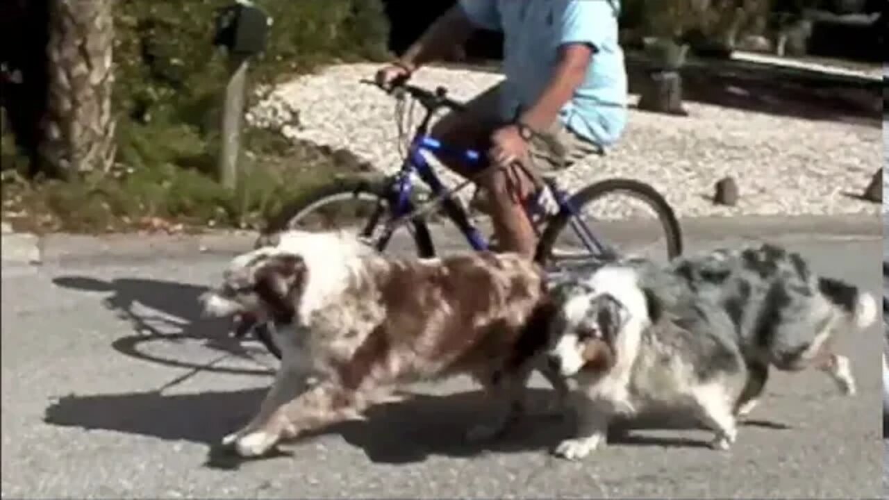 Biking with Jazz and Tai Chi