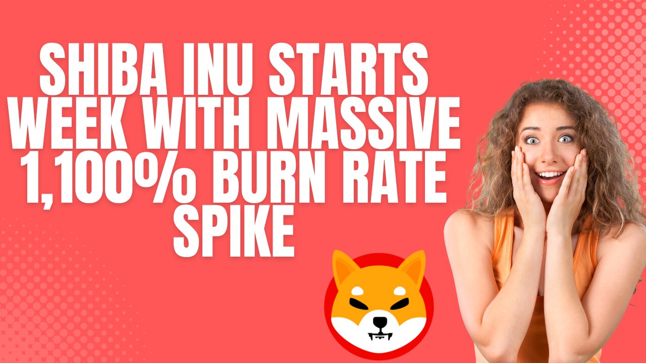 Shiba Inu SHIB starts week with massive 1,100% burn rate spike