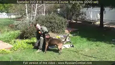 How to defend against a dog. Self defense against dog attack