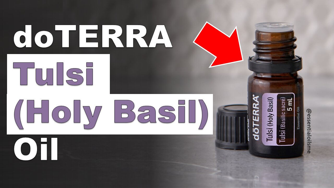 doTERRA Tulsi Holy Basil Essential Oil Benefits and Uses