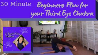 30 Minute Beginners Yoga Flow for the Third Eye Chakra