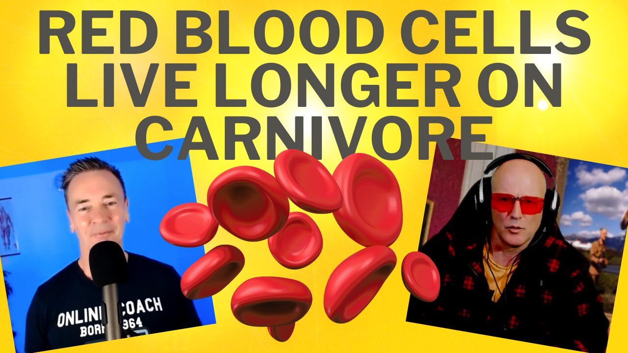 Understanding Red Blood Cell Lifespan and Its Effects on HbA1c with Bart Kay and Coach Stephen