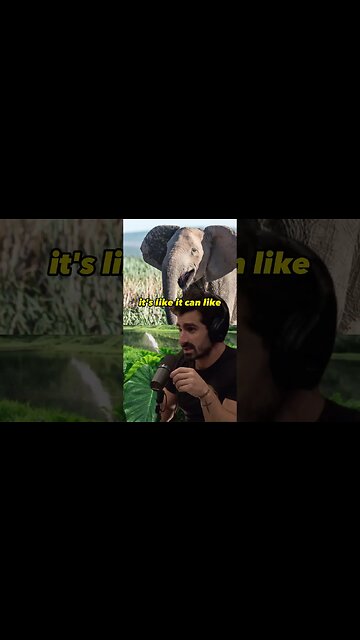 The Tragic Effects of Poaching: How Elephants and Moose Adapt to Human Influence | Joe Rogan #2013