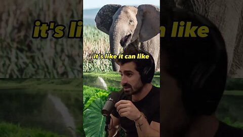The Tragic Effects of Poaching: How Elephants and Moose Adapt to Human Influence | Joe Rogan #2013