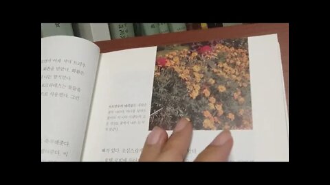 네팔의 시간은 서두르지 않는다, 이필형, 안나푸르나, 숫타니파타, 슈퍼문, 황무지,벼락신,다야드밤,카트만두, 메리골드, 불교, 힌두교, 용광로, 트레킹, 기도깃발 포인세티아, 천국