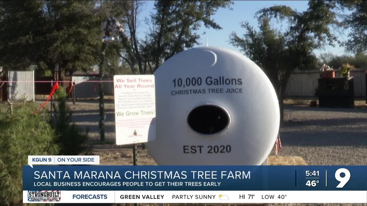 Santa Marana Tree Farms prepares for busy season ahead