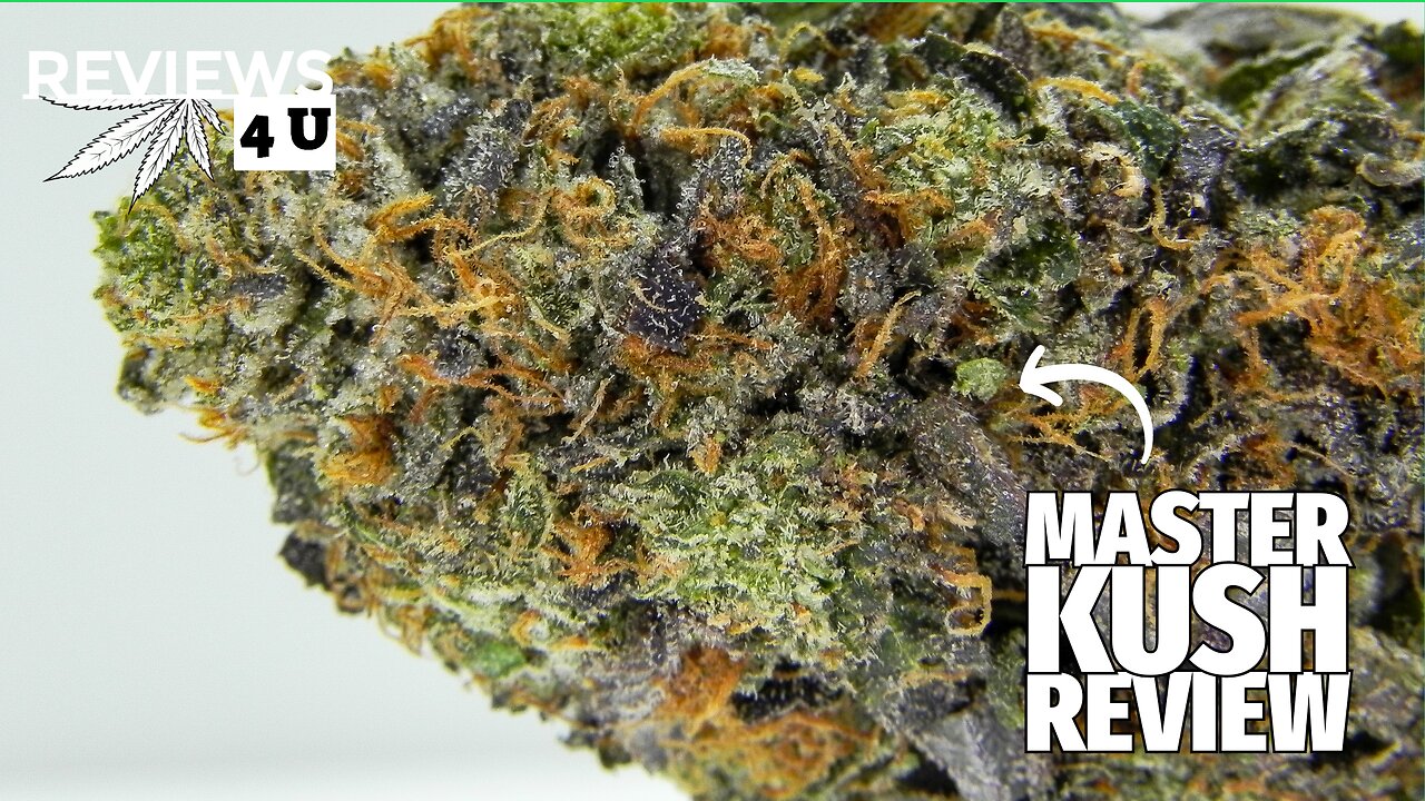 MASTER KUSH STRAIN REVIEW | THC REVIEWS 4 U - MON5TAR
