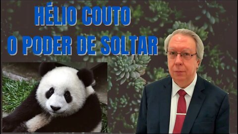 ⚛🐼 Hélio Couto - O Poder de Soltar .