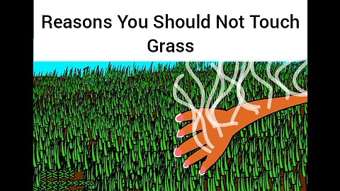 Reasons You Should NOT Touch Grass