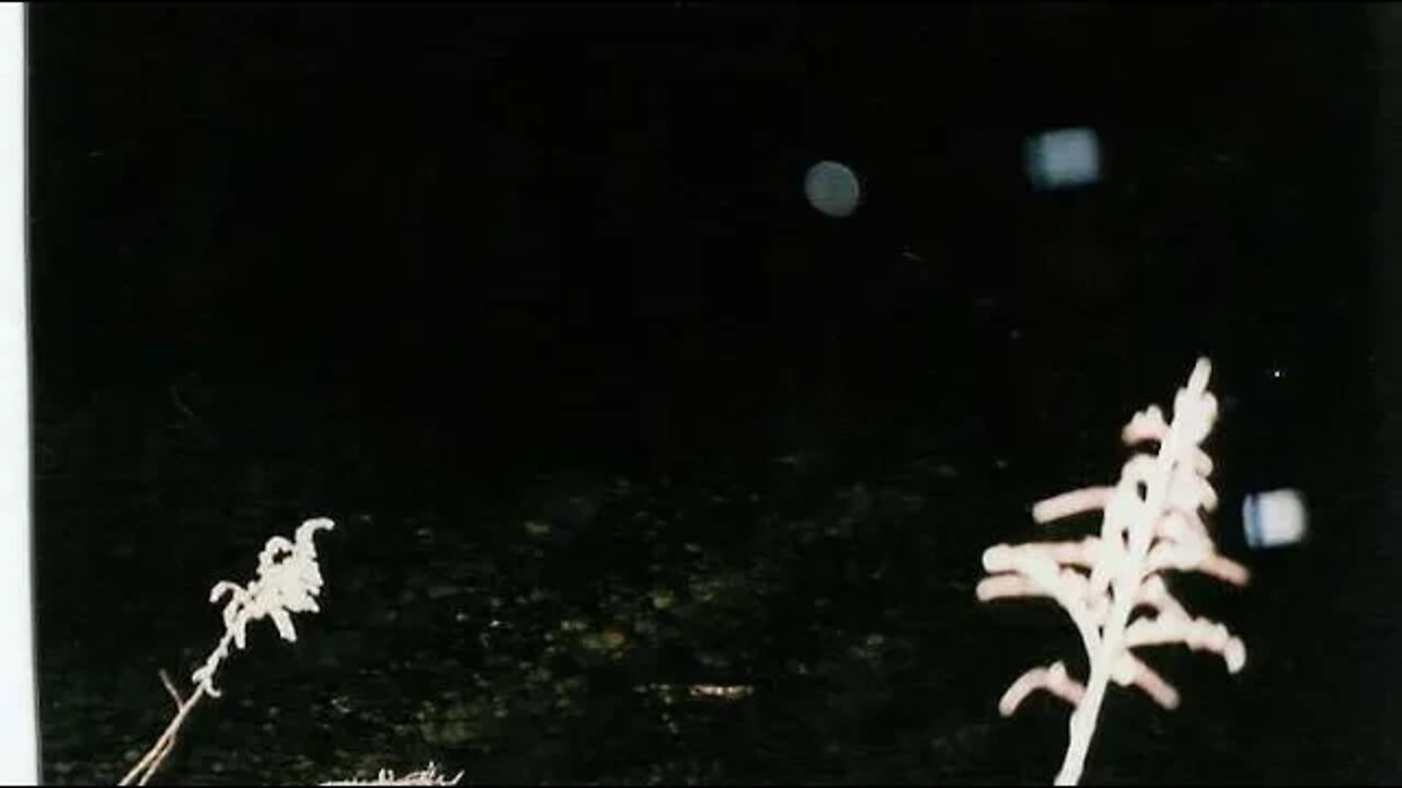 Are you ready for a new order of Gov. Aliens?