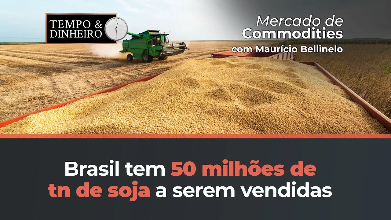 Os preços podem surpreender. De que forma? Mauricio Bellinelo explica
