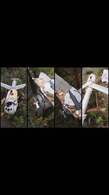 Russian electronic warfare system landed US Switchblade 600 kamikaze drone