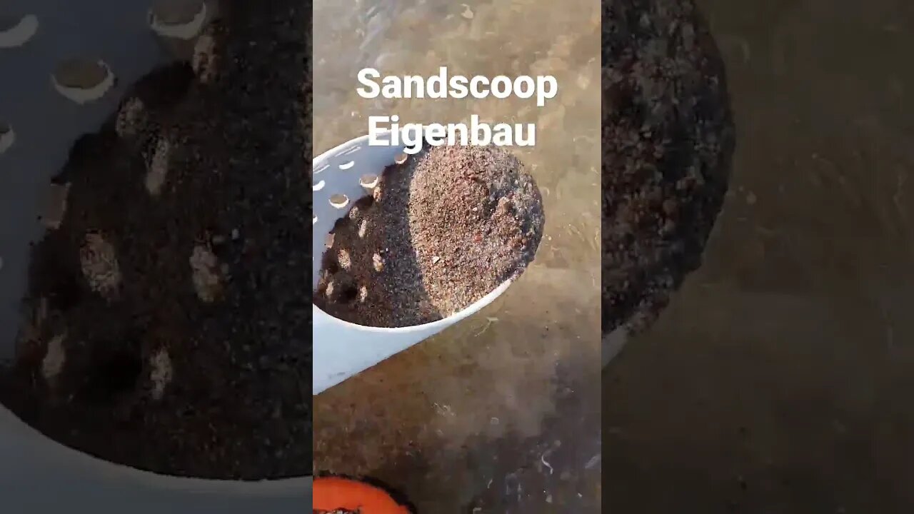 #shorts #sandscoop #scoop #scooping #detector