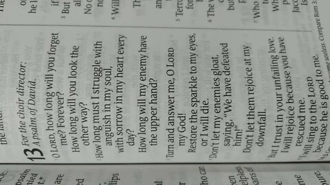 Psalm 13 NLT