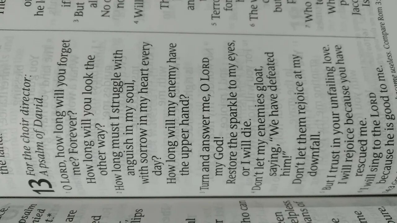 Psalm 13 NLT