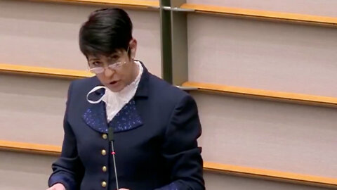 INTERVIEW: Christine Anderson reveals why she scorched Trudeau in front of the European Parliament
