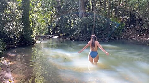 Days of my Life in the Australian Rainforest