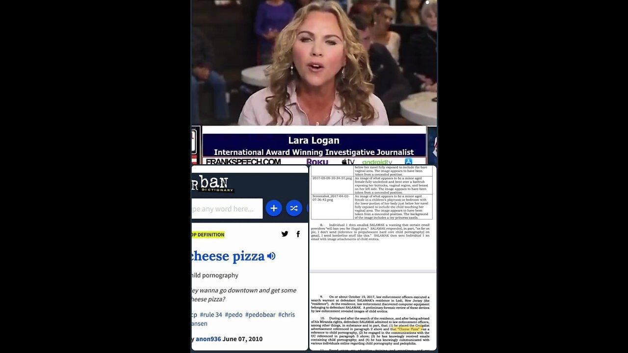 LARA LOGAN - The entire mainstream media lied about Pizzagate