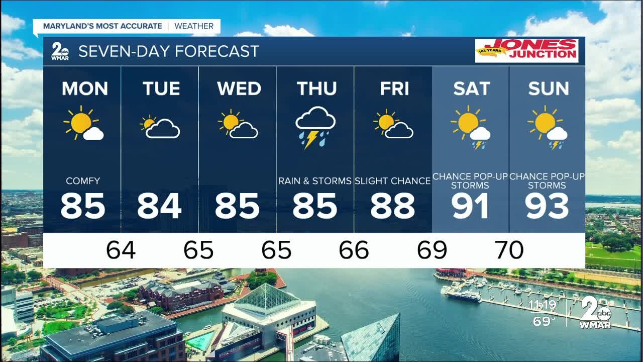 7 Day Forecast