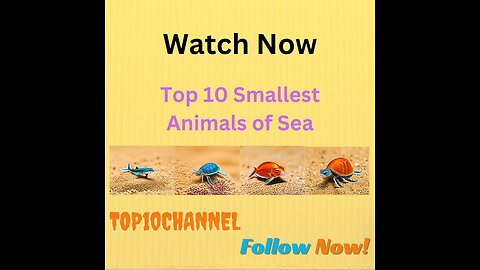 Top 10 Smallest || Animals in Sea || Top10Channel