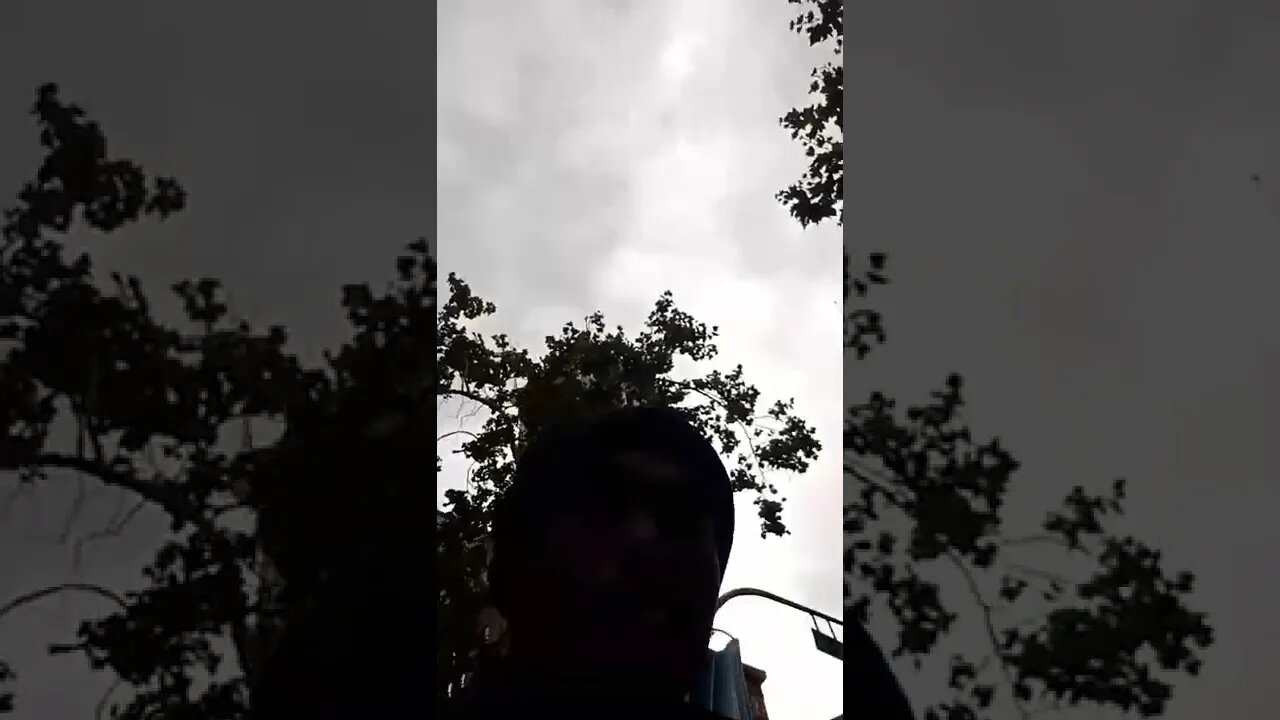 Dr. king wasn't for immigration