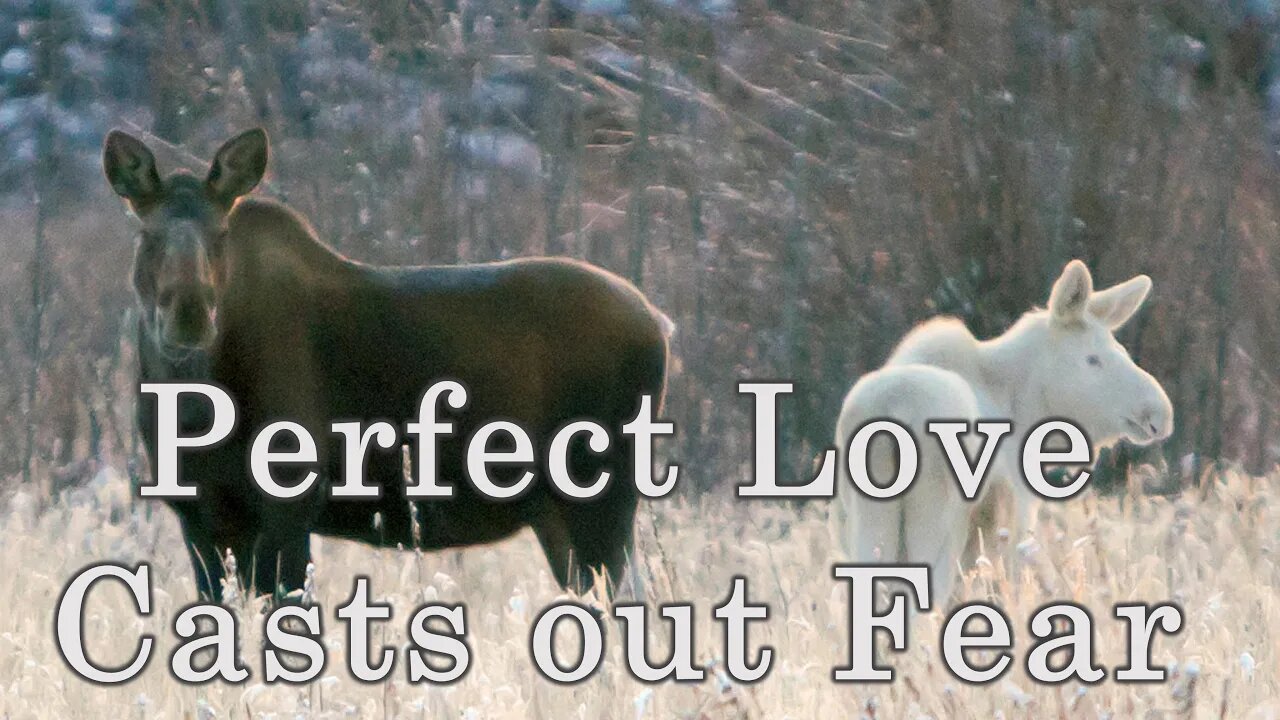 Pastor Ken Davis "Perfect Love Casts Out Fear" 05-16-20