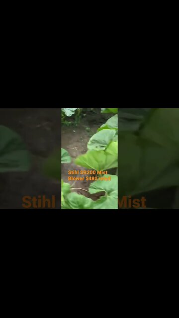 Feeding Plants #diy #diygardening #foliar