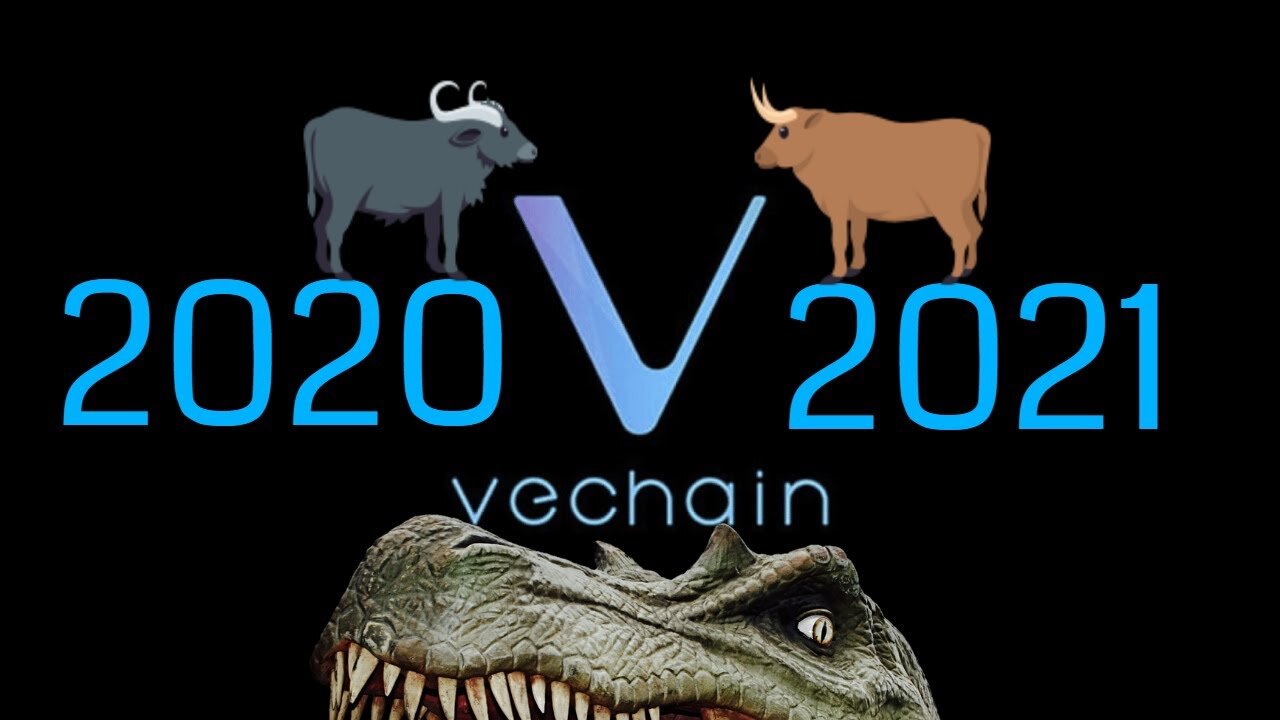 VeChain Price Prediction For The Next Bull Run