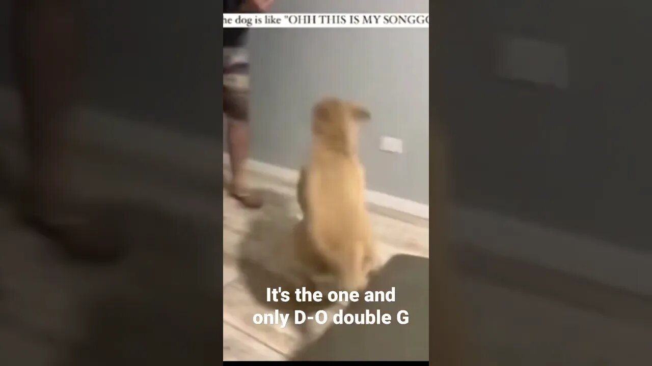 It's the one and only D-O double G #shorts