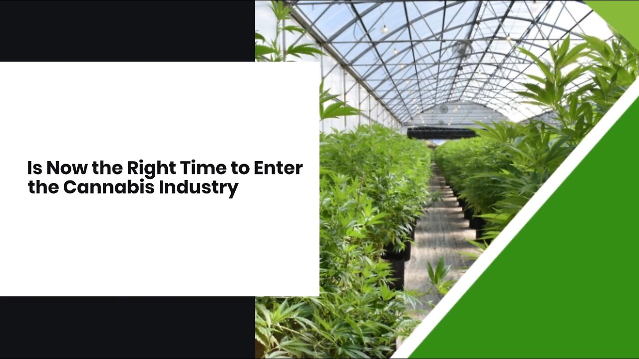 Is Now the Right Time to Enter the Cannabis Industry